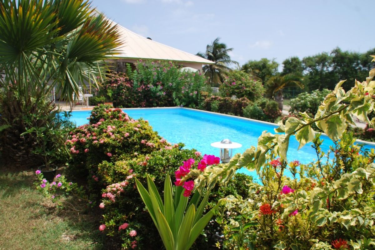 La piscine Les abords de la piscine végétalisés et fleuris aux gîtes La Bougainvillée